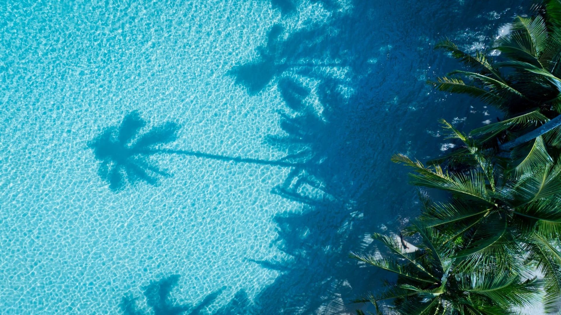 swimming pool purification without chemicals