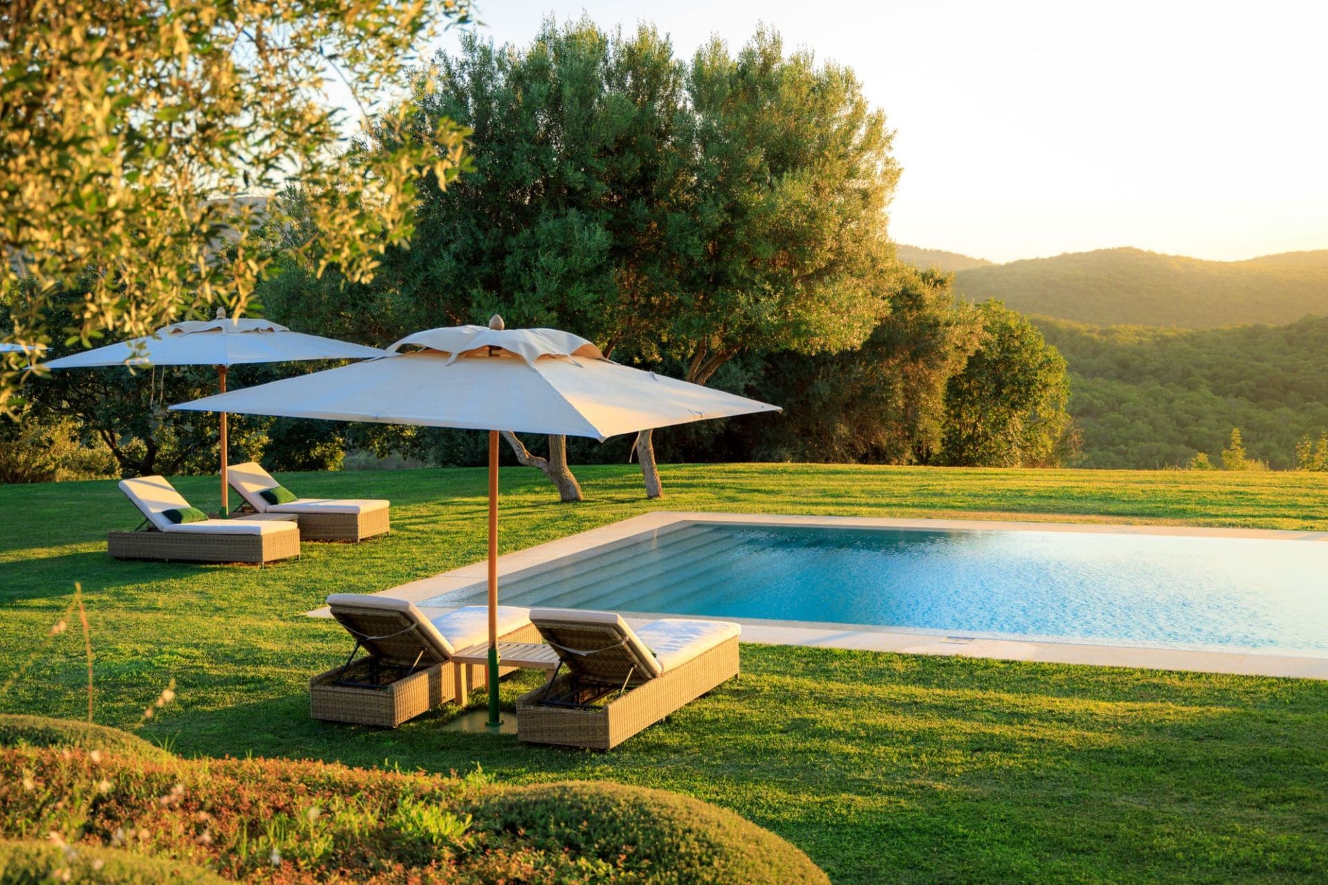 Swimming pool with no chemicals safe for pets and humans