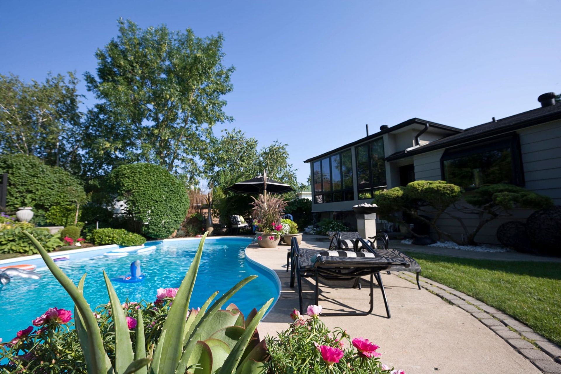 pool without chlorine, salt, or chemicals