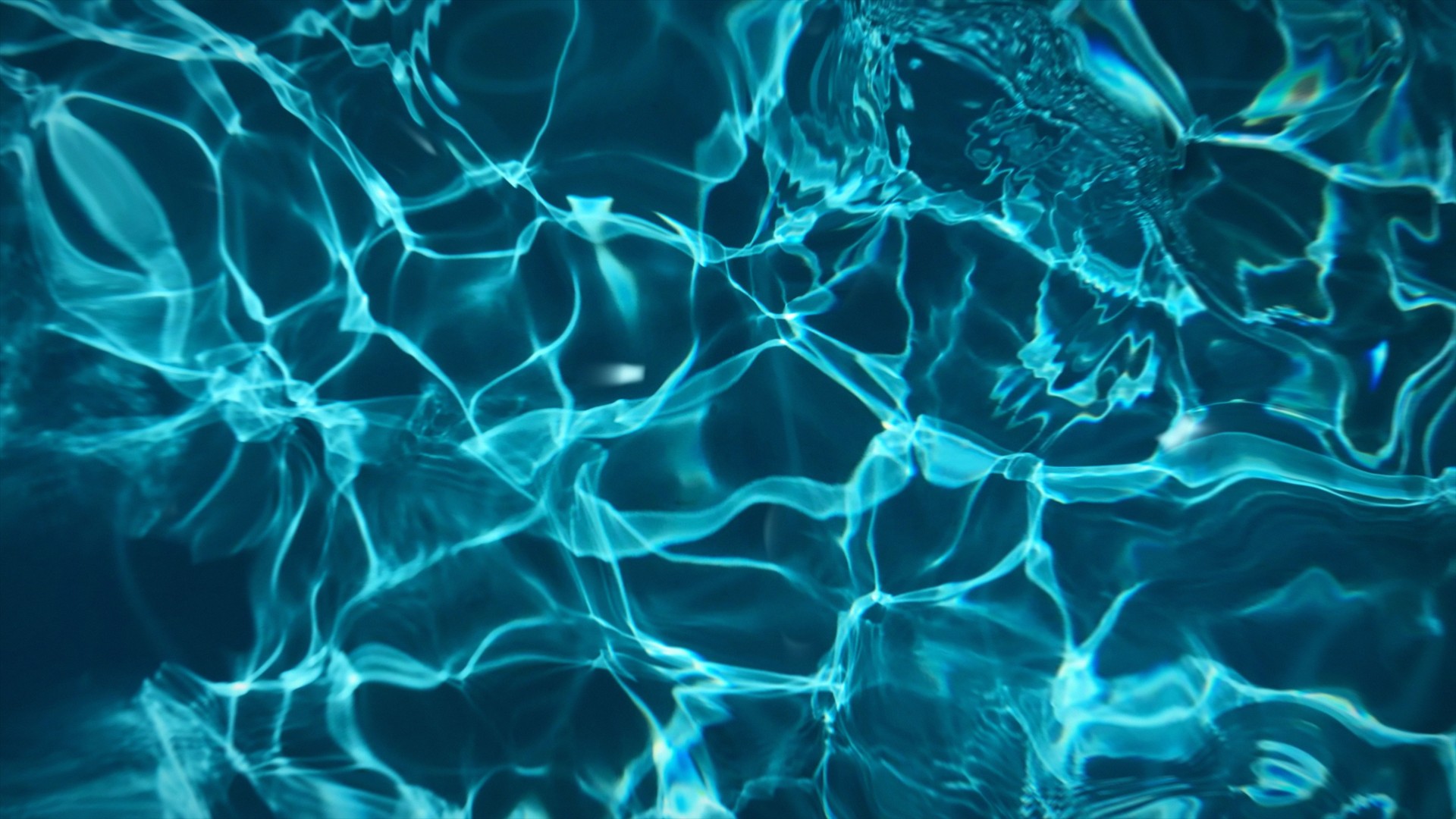 Chlorine-free pool made safe for pets using Fusion 44X technology